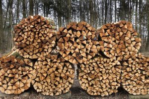дърва-пловдив-бора-дърва-цена-доставка-ефтини-качествени
