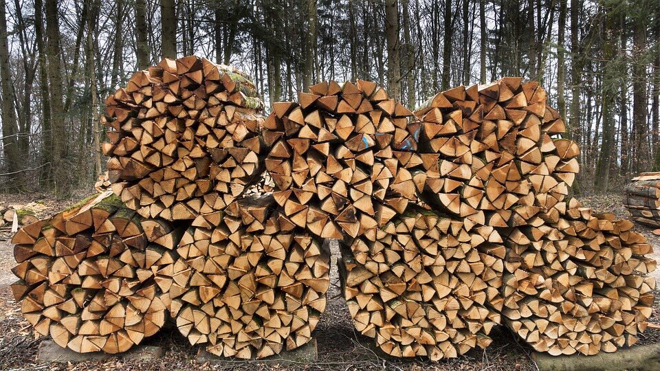 Дърва за огрев Пловдив бора-дърва-цена-доставка-ефтини-качествени дърва пловдив