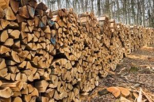 нацепени-дърва-за-огрев-пловдив-бора-дърва-цени-доставка